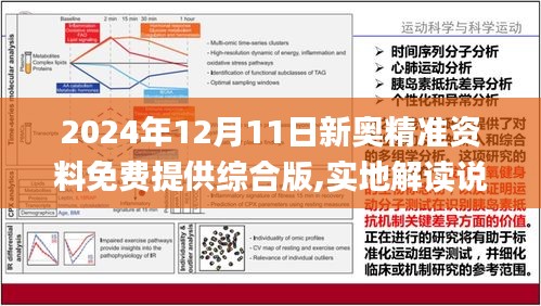 2025最精准原料免费大全,全面释义、解释与落实